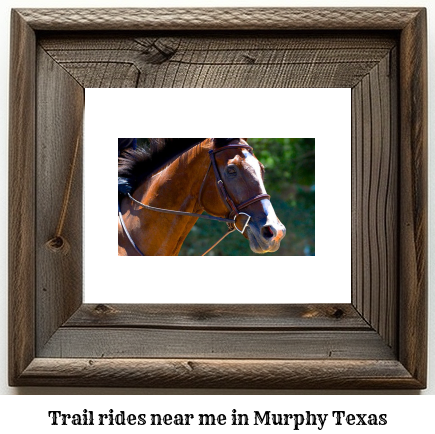 trail rides near me in Murphy, Texas